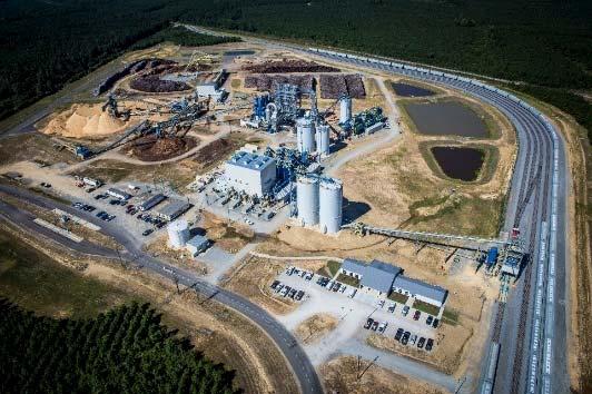 Drax Biomass operations Pellet facilities Sited in healthy wood