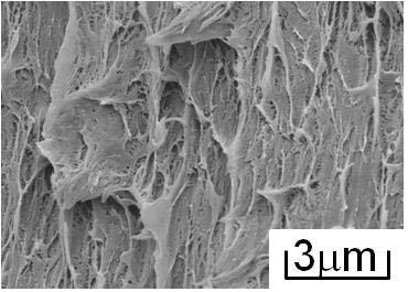 INFLUENCE OF STRUCTURAL ANISOTROPY ON COMPRESSIVE FRACTURE PROPERTIES OF HYDROSTATIC-PRESSURE-EXTRUSION-MOLDED HAP/PLLA COMPOSITE Figs.