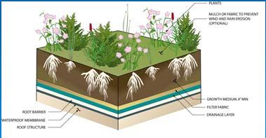 Green Roofs 2013 Permit Modeling Guidelines Implicit Method 3-8 growing media model as 50% till lawn / 50% impervious area >8 growing media model as