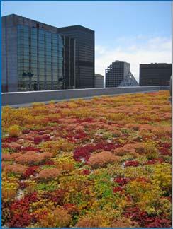1 acre Green Roof In