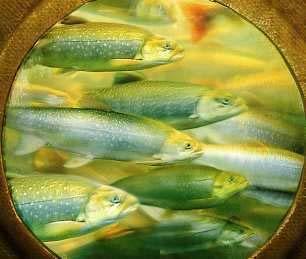 Department of Agriculture, Agricultural Research Service 1 st salmon studies finished in 2011 Gaspe and St John River