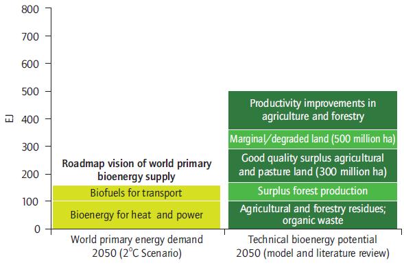 Biomass supply prospects - uncertainties remain 2050 (2 C) Source: Based on IPCC SRREN, 2011 Total World Energy Demand 2011 Source: Adapted from IPCC (2011), and supplemented with IEA data