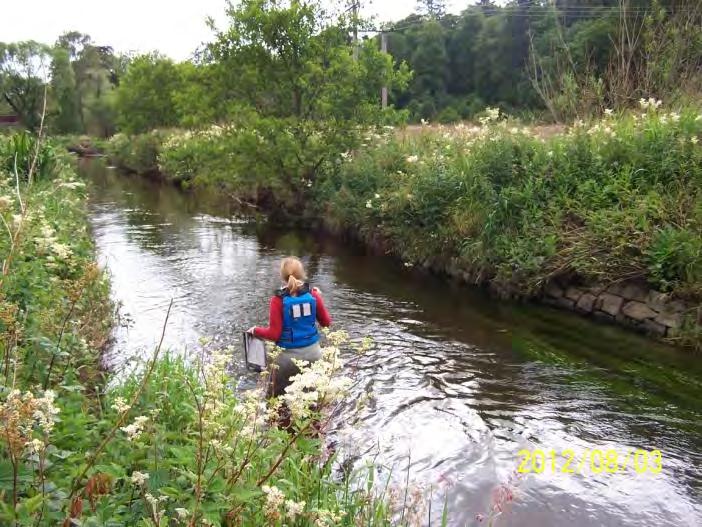stream habitats and hydrogeomorphology