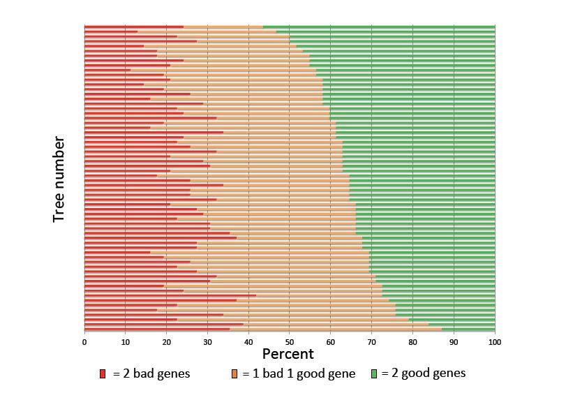 Marker genotypes clearly reveal better trees Tree 1 BEST Actual pulp yield marker