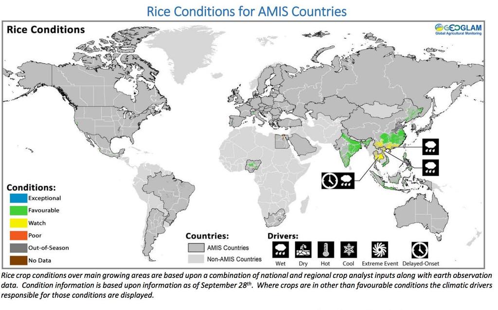 Conditions at a Glance Rice conditions for Southeast Asia have generally improved and are favourable,