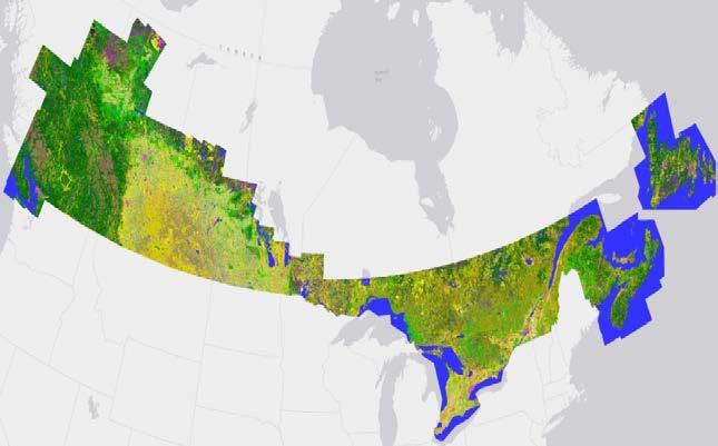 Current Operational Systems: Canada Annual Crop Inventory o Based on RADARSAT-2 and optical