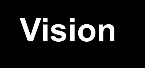 UK Government Response to Black Report 2008 Vision We want to create a