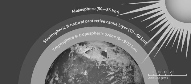 THE OZONE LAYER: Q.9. Define Ozonosphere. Ozonosphere or the Ozone layer is a region of the upper atmosphere containing a very high concentration of ozone molecules. Q.10.