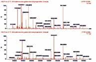 Observed metabolites of 7-ethoxycoumarin in mouse, rat, dog, monkey and human hepatocytes. MA 1 7-EC Figure 4.
