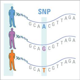 Detecting SNPs With HTS Data A SNP is a single nucleotide change.