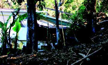 FIGURE 3-15 A landslide inundated this house with up to 5 feet of