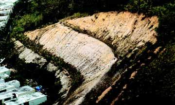 unprotected cut; the potential for future landslide activity
