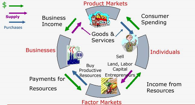 Circular Flow The circular flow diagram shows the high degree of economic Interdependence in our economy.