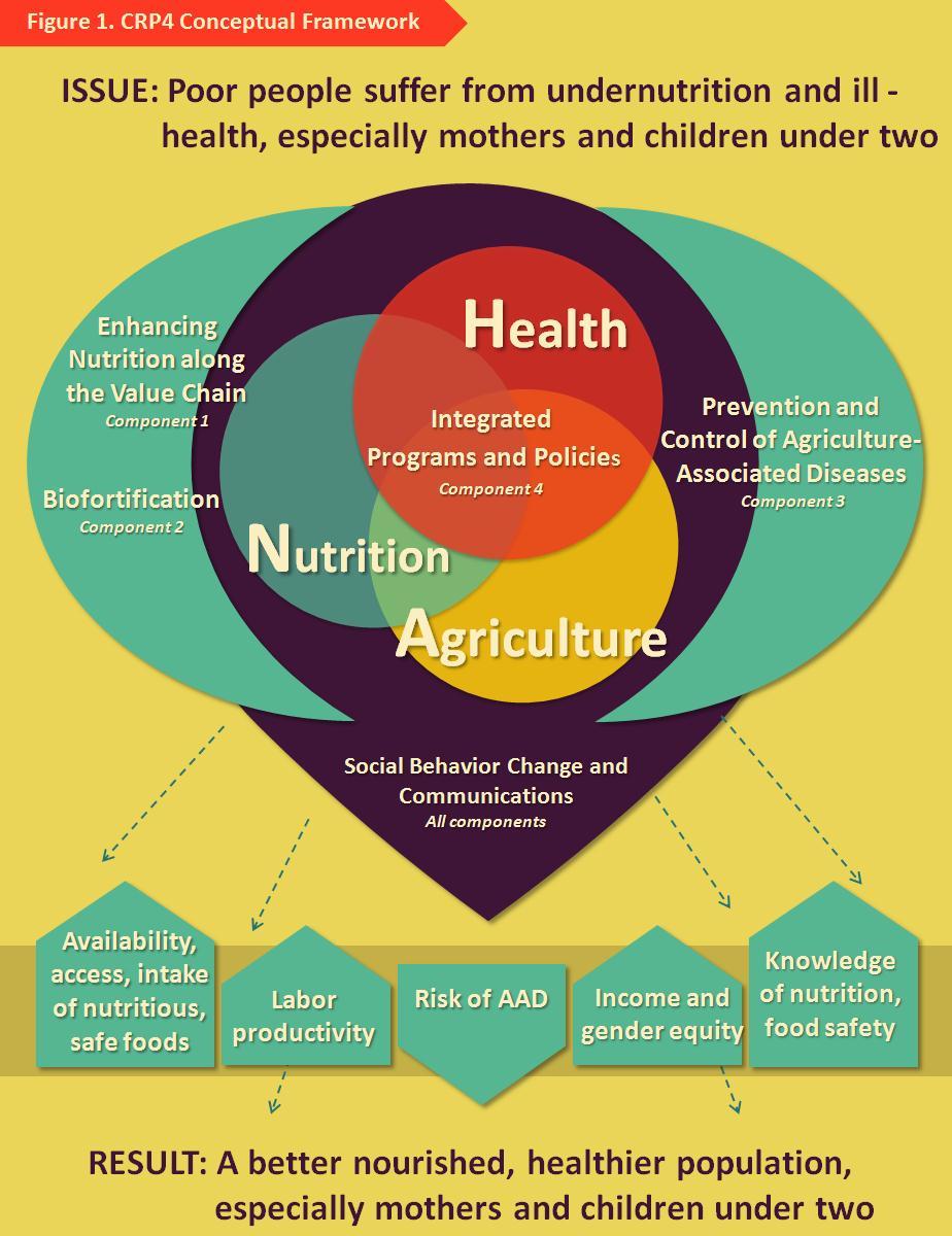 2. The A4NH research program The starting point for A4NH is that agricultural practices, interventions, and policies can be better adapted and redesigned to maximize health and nutrition benefits and