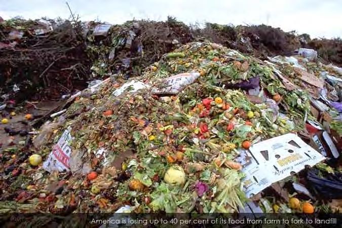 Food Waste: the