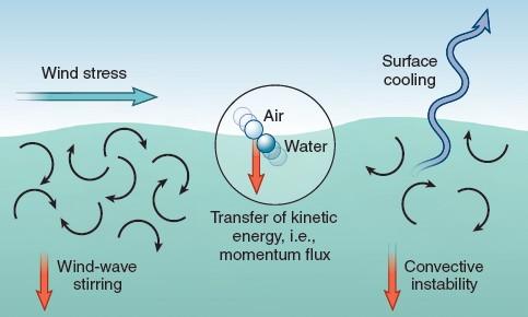 processes also affect the density of seawater, which has important effects on ocean circulation Processes that Raise Density  heat exchange Processes that Lower