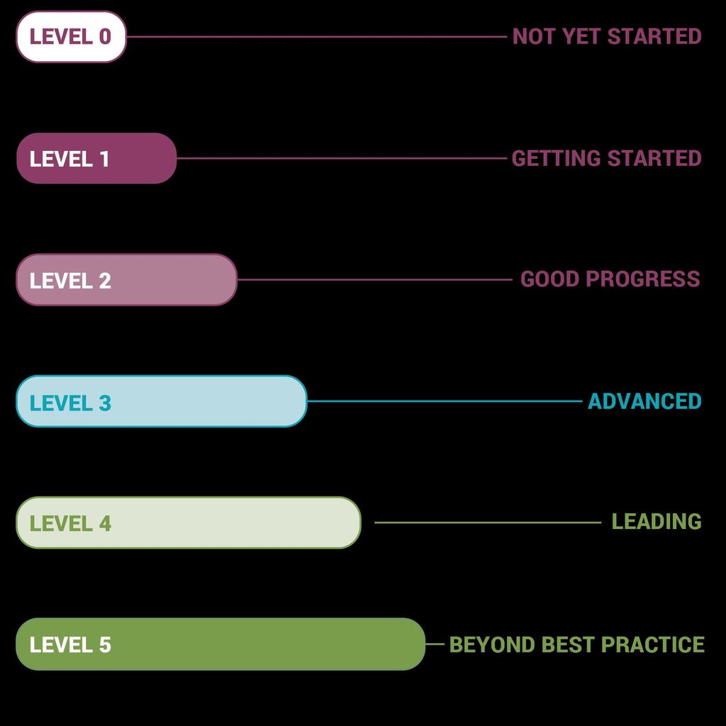 performance Ltd has achieved Level 4 (Leading) for the core criteria.