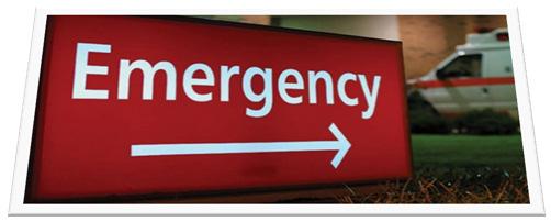 CDM Considerations - Resource Based Charges Emergency Department Distribution of ED visit levels Facility component CAH OPPS CMS Outpatient Standard Analytical File PEPPER reports (OPPS) CMS OPPS