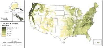 maps of the forest resources of the US Clients can