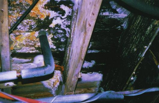 During this time period, sufficient heat escaped from the steam pipes located in the crawlspaces to prevent the plumbing pipes from freezing during the winter months.