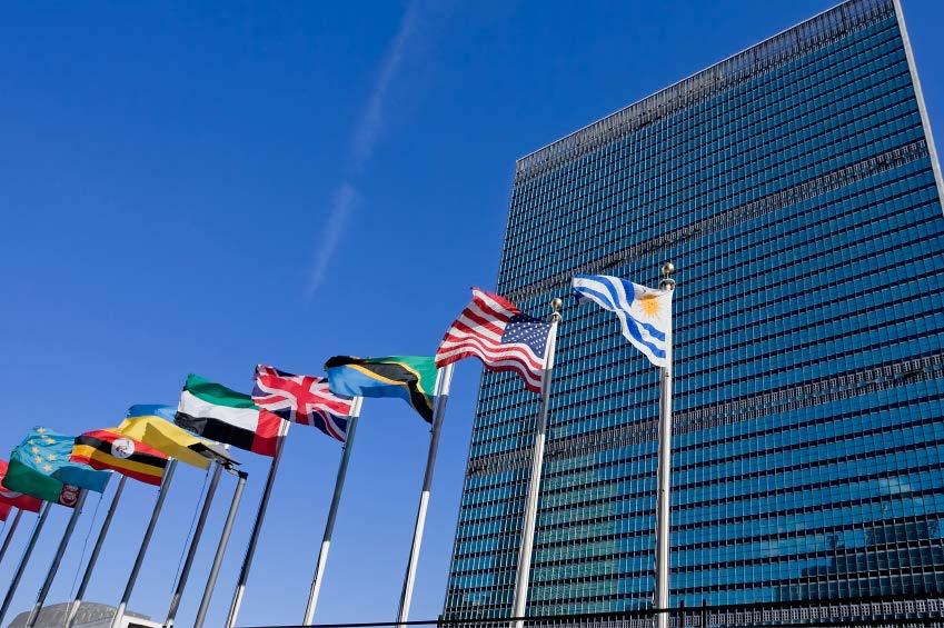 Monitoring at the UN High