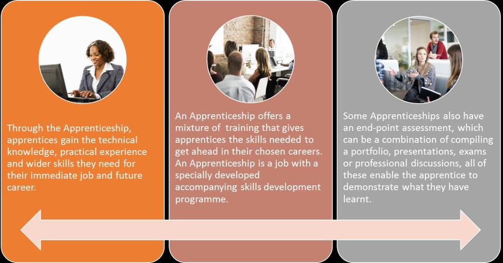 Employing apprentices brings a number of benefits to employers as they: Are a unique way of growing your own skills and talent Can improve social mobility and diversity within the organisation Can