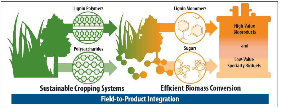 Future Directions Comprehensive Integration of the Field-to-Product Pipeline Modeling of field-to-product pipelines Mitigate the impact of feedstock