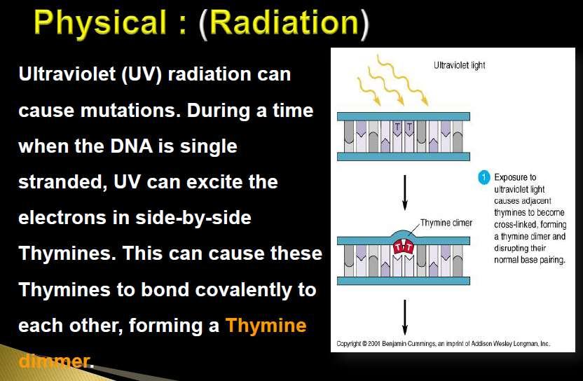 Induced mutations Chemicals, X-rays, UV light Viruses.