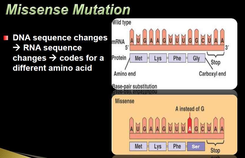1. base substitution: DNA polymerase error or due to