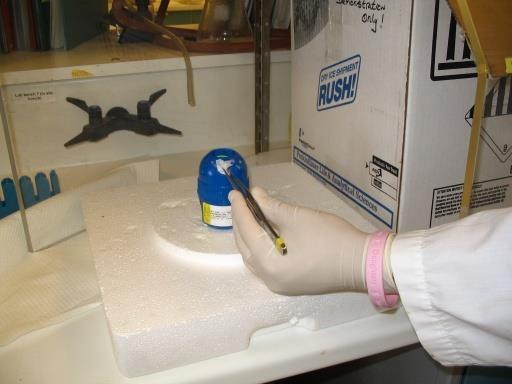 Checking the Package from Contamination Wipe test #3 Wipe