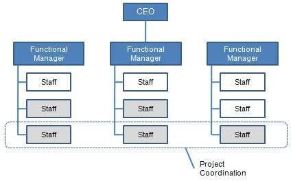 In this type of an organization, the company uses teams to complete tasks.