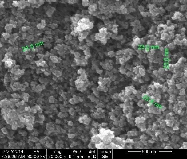 The accurate grain sizes cannot be calculated using the SEM micrographs, as the distinct grain boundaries are not exactly focussed.