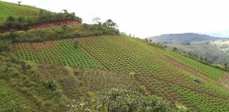Examples of EbA integration at sub national level 2 Establishment and promotion of traditional ways of conserving land and biodiversity through traditional farming methods, e.g. the Matengo pit systems (the Ngoro systems ) in Mbinga District, southern Tanzania.
