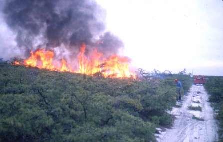 intense ecological burning can be applied (where adequately contained),