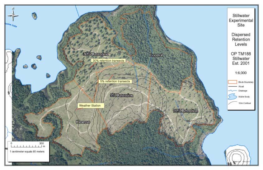 Fig 1. The Powell River Study Site. Comprises a clearcut, 1% retention, 5%, 1% and 3% retention (by basal area) in a 7 year old site index 34m Douglas-fir stand.
