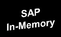 an In-Memory Column Database Hasso