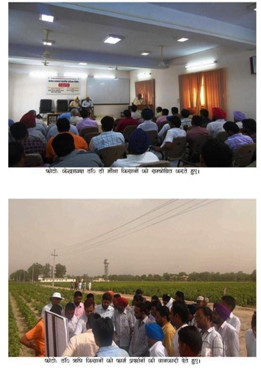 CICR, RS, Sirsa organises Training Program on Cotton Production Technology A training program on cotton production technology was organized by Central Institute for Cotton Research, Regional Station