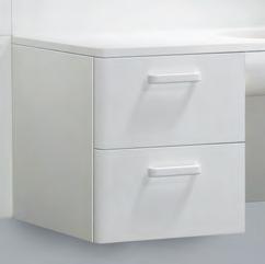 WALL PANEL SYSTEM Optional lap-jointed surface panels integrate with casework, wall rail system and countertops providing a seamless, clean backdrop to help prevent liquid spill