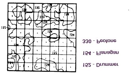 area on the topographic map (Figure 12.7) appears on the soil survey map (Figure 12.8) as Peotone-330. If a straight grid is used to establish sampling points (Figure 12.