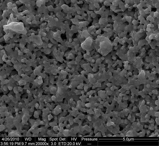 Figure S5. SEM image of cathode surface for the fuel cell: Ni-YSZ YSZ MCO-SDC.