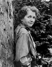 In 1962, American biologist Rachel Carson published the book, Silent Spring which told of DDT s harmful effects.
