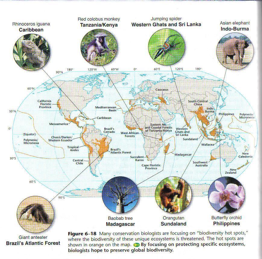 CONSERVING BIODIVERSITY Today conservation efforts focus on protecting entire