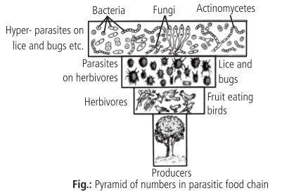 individual organisms 3.