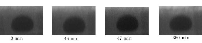 In the sessile drop experiments undertaken in the present study, the changes of the shape of the iron drop immersed in molten slag were followed by X-ray imaging at 1873 K.