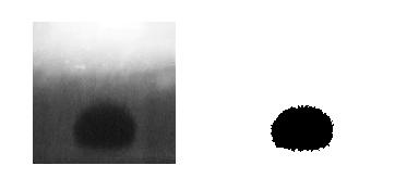 Figure 5. Converted image from X-ray image by image analysis software [11]. As mentioned earlier, the sulfur transfer on slag/metal interface would change the shape of the droplet.