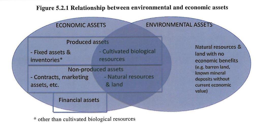 CEEA CF: Economic assets and environmental assets System