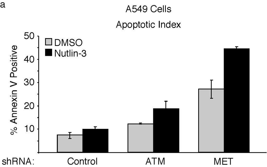 Supplementary Figure 3. Knockdown of ATM or MET sensitize A549 cells to apoptosis upon Nutlin-3 treatment.