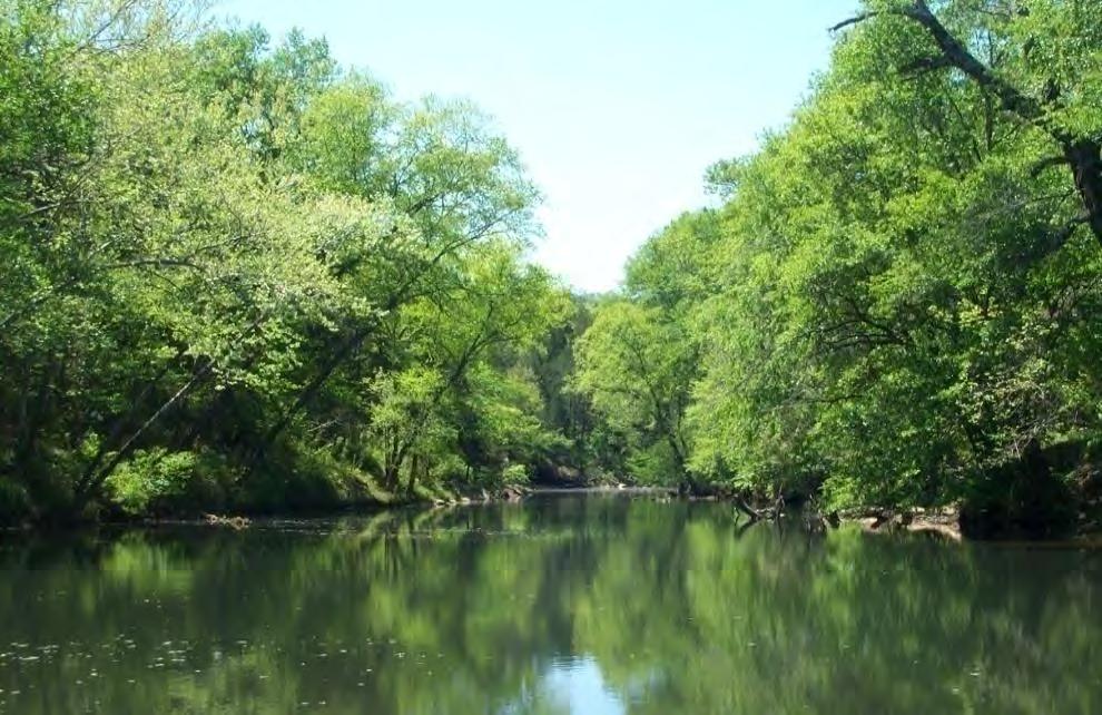 Clean Water Act Jurisdiction Blackfork Creek (High Quality Water), Pushmataha County OK