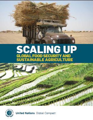 2012 UN Global Compact Project Strategy for scaling up food security and sustainable agriculture Promoting sustainable sourcing Improve
