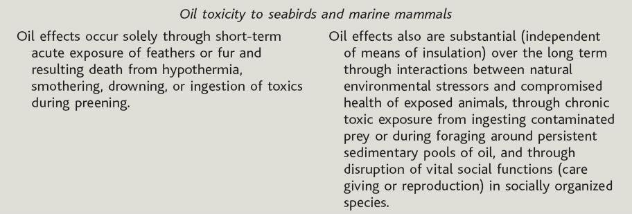 chronic and indirect effects of marine oil